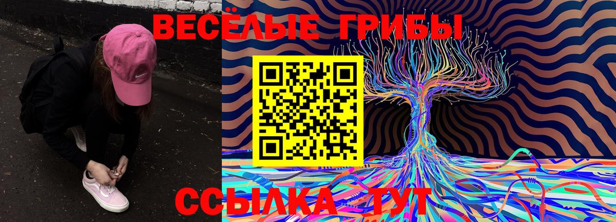 Старый Оскол  Галлюциногенные грибы Psilocybine cubensis  Вход с VPN 